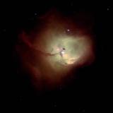N 81
