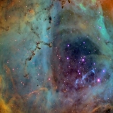 Rosette Ballauer