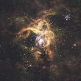 Tarantula Nebel